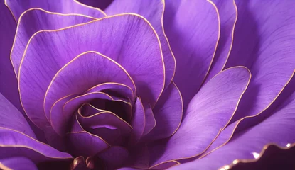Blühende exotische Blume, Makrofoto. Blumenhintergrund in violetten violetten Tönen mit weichem, selektivem Fokus. Bild für Karten, Einladungen, Banner. © Viks_jin