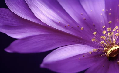 Blühende exotische Blume, Makrofoto. Blumenhintergrund in violetten violetten Tönen mit weichem, selektivem Fokus. Bild für Karten, Einladungen, Banner. © Viks_jin