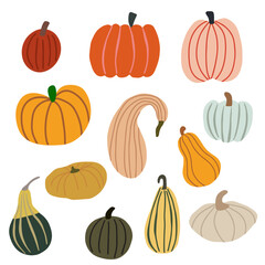 Autumn harvest.Vector set with hand-drawn pumpkins. Healthy lifestyle.