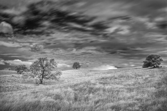 Infrared image of clouds, grasslands and oak trees in Amador County.
