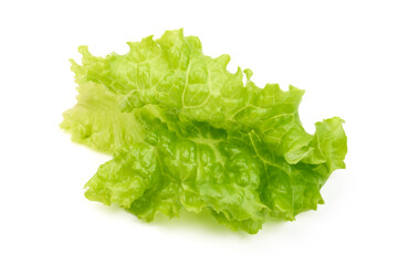 Lettuce Salad leaves, isolated on white background.
