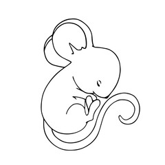 Linear sketch of forest animal sleeping mouse.Isolated vector graphic.