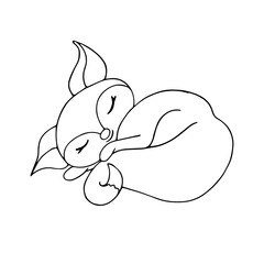 Linear sketch of a forest animal sleeping fox. Isolated vector graphic.