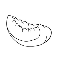 Botanical linear sketch of a piece, slice of peach.Vector graphics.