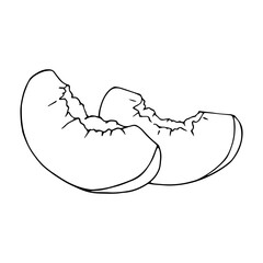 Botanical linear sketch of a piece, slice of peach.Vector graphics.