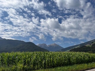 landscape with mountains