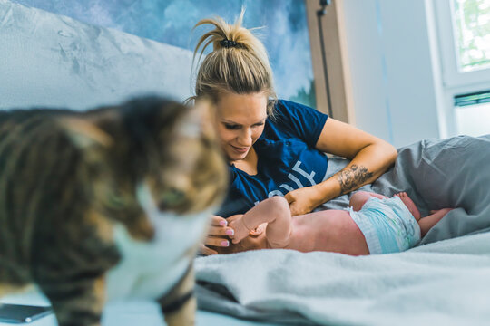 Caucasian young mother enjoying spending time in bed with her newborn son. Family cat playing near them. High quality photo