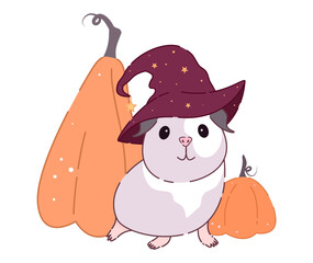 Cute guinea pig in a witch hat with pumpkins. Beautiful illustration for Halloween.