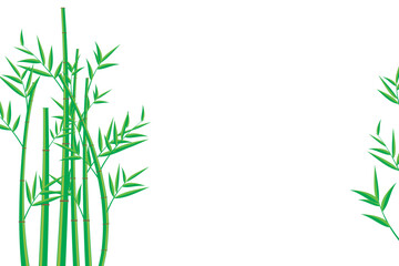 Fototapeta na wymiar Vector bamboo tree. Illustration of a bamboo tree on a white background. isolated bamboo tree