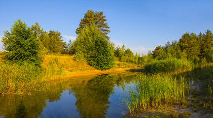 Fototapeta na wymiar small calm lake in forest, beautiful summer outdoor landscape