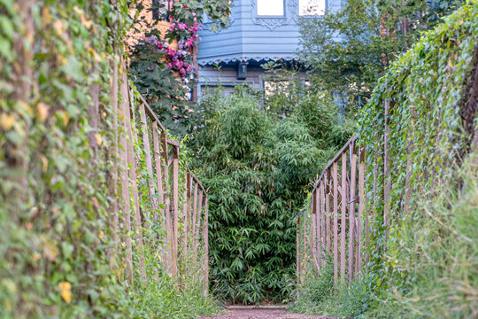 A traditional urban garden (bostan) in the Kuzguncuk.Kuzguncuk is a district famous for its old Istanbul houses and streets.