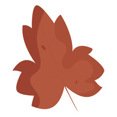 Isolated colored autumn leaf icon Vector