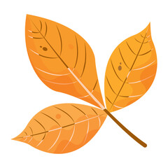 Isolated colored autumn leaf icon Vector