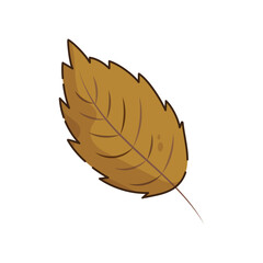 Isolated colored autumn leaf icon Vector