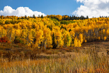 Two Creeks region of Snowmass Village located in the Elk Mountains of Colorado.