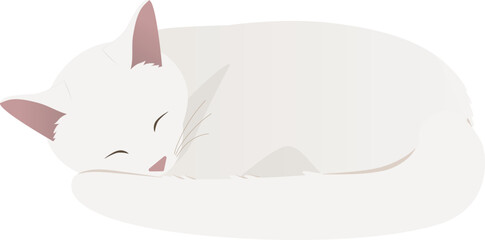 丸まって眠る猫_白_ベクターイラスト