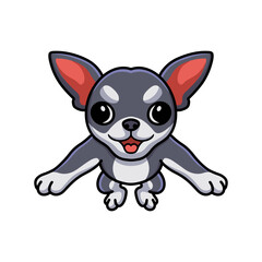 Cute chihuahua dog cartoon posing