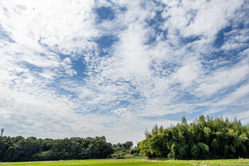 爽やかな秋の空