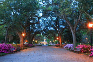 USA, Georgia, Savannah. Azaleas in the spring at Forsyth Park. - obrazy, fototapety, plakaty