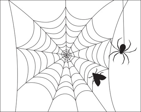 Halloween with spider and web for banner, poster, greeting card, party invitation. vector illustration.