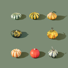 Autumn pattern colorful pumpkins..Minimal concept Halloween or autumns . .Pumpkins in yellow, green i orange. on pastel green color background with space for writing
