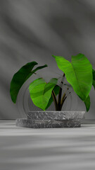 Portrait layout frosted glass and green caladium 3d rendering mockup template grey marble podium

