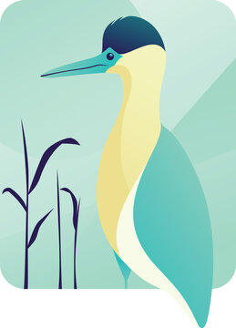 Bird blue and yellow, fantastic animal vector