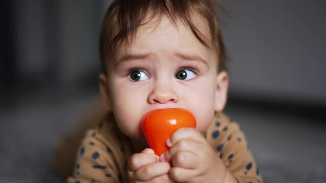 Beautiful dark-haired Caucasian child chewing bright toy. Cute baby boy lies on the floor playing with toys. Close up.