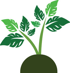 Obraz na płótnie Canvas illustration of a plant