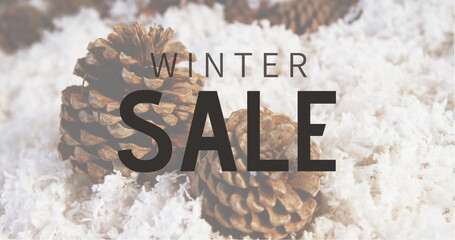 Composition of winter sale text over christmas decoration in background