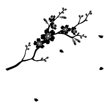 Silhouette Illustration Of Cherry Blossom Flower Branch 