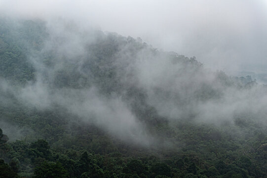 Mountain range with visible silhouettes through the morning colorful fog. © panyawatt