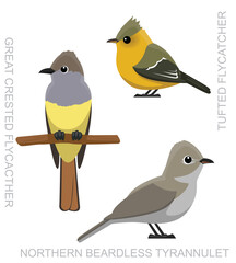 Cute Bird Great Crested Flycatcher Tyrant Set Cartoon Vector