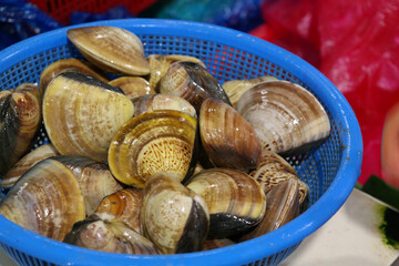 A blue basket full of large clams - Powered by Adobe
