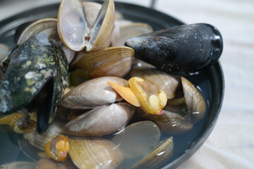 A soup made by boiling various kinds of clams