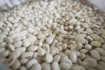 Organic Navy Bean from Thailand.