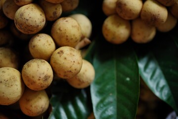 Longkong in the basket Fruits in the rainy season.