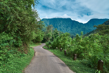 road in the mountains surrounded by jungle 