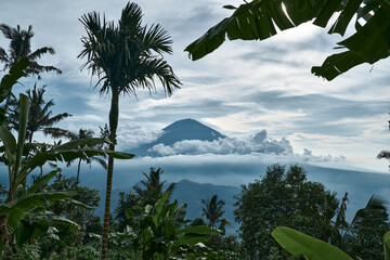 view of a volcano surrounded by forest