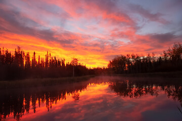 Beautiful colorful sunrise on the lake in the forest with reflection in the water.