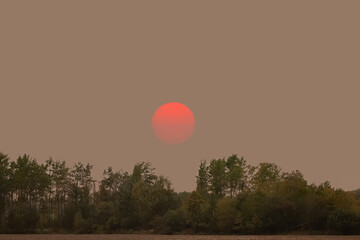 Smoke from wild fires, big red sun over the trees.