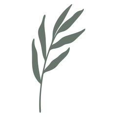 Leaves vector illustration in bohemian design