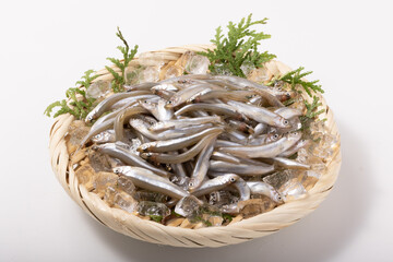 ［青森県産］　わかさぎ