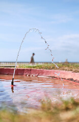 Fuente de agua junto al mar en tarde de verano