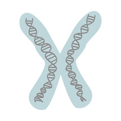 The genetic material (DNA) that carries specific information for organism are condense in chromosome molecule.