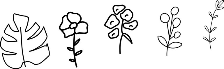 Wildflowers collection. Collection of twigs. Twigs Hand drawn vector floral elements.  Hand-drawn doodles illustration. Line art. Icon