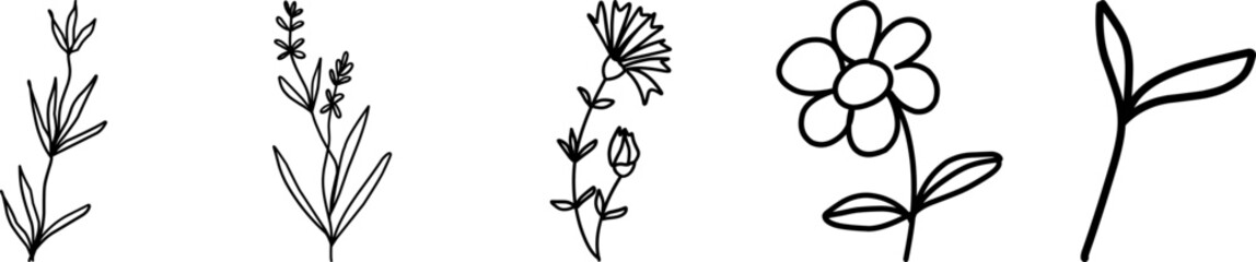 Wildflowers collection. Collection of twigs. Twigs Hand drawn vector floral elements.  Hand-drawn doodles illustration. Line art. Icon