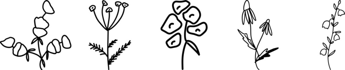 Wildflowers collection. Collection of twigs. Twigs Hand drawn vector floral elements.  Hand-drawn doodles illustration. Line art. Icon