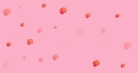 Image of roses spread on pink background