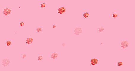 Image of roses spread on pink background
